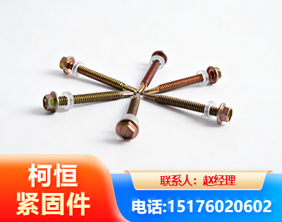 克拉玛依六角钻尾丝